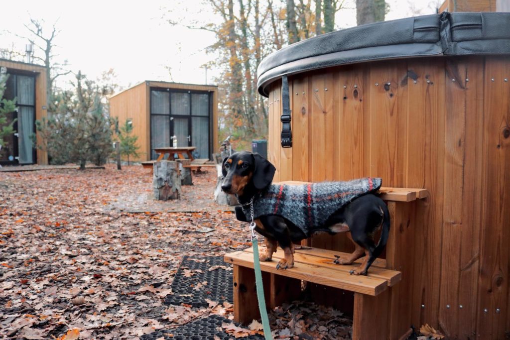 hot tub tiny house hond