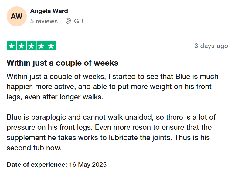 Hip & Joint review