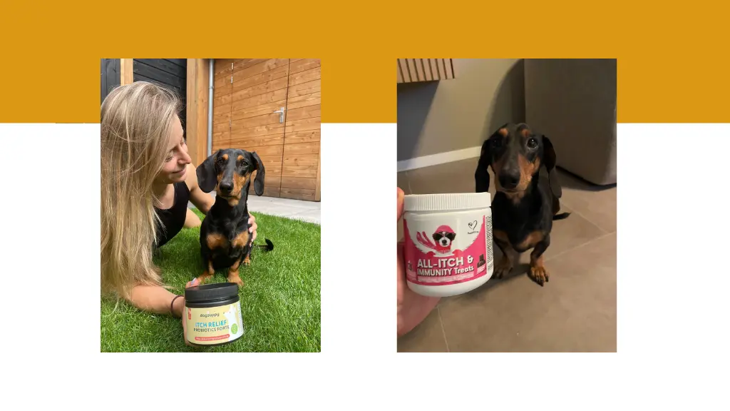 Nutripaw Dogsuppy header